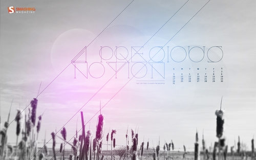 a-precious-notion-r100 a-precious-notion-r100