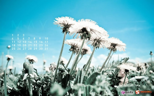 dandelion-r100 dandelion-r100