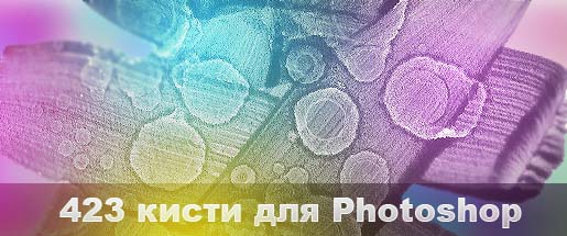 2662619527_f9e16dbbd4_b-copy